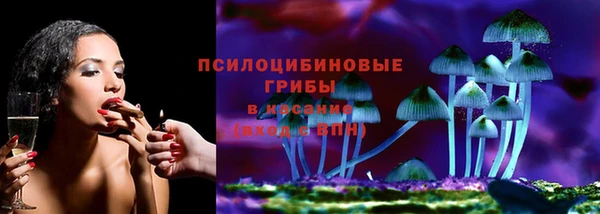 Альфа ПВП Алзамай