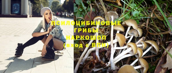 Альфа ПВП Алзамай