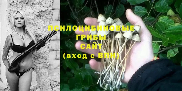 прущие крисы Алексеевка