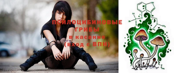 Альфа ПВП Алзамай